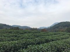 -西湖风景区十里琅珰-五云山