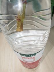 -北京新世纪儿童医院