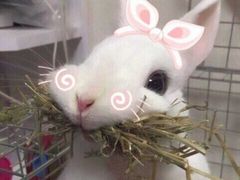 -川香煲(茅台路店)