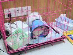 -联合动物医院(光谷诊疗中心)