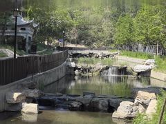 -白水寺森林公园