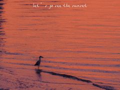 -上海山野camping·户外天幕烧烤·团建拓展营地