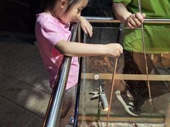 -上海大自然野生昆虫馆(东方明珠·爬宠昆虫探索中心)