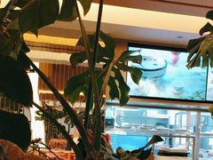 -桂满陇·海市蜃楼·黑金(国金店)