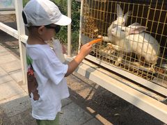 -大连铭湖国际观光牧场
