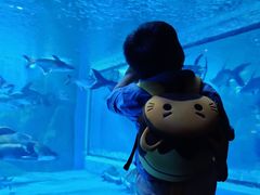 -多彩贵州城极地海洋世界