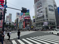 -涩谷区