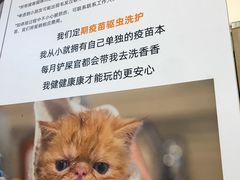 -COLOR PETS 撸猫馆·购猫·猫咖(长风大悦城店)
