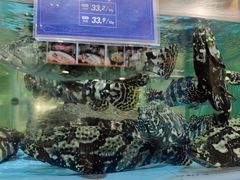 -旺顺阁海鲜广场(亚运村店)