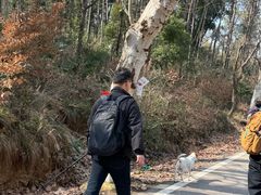 -青龙山国家森林公园