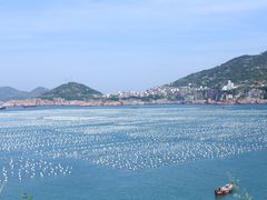 -枸杞岛