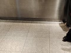 -麦当劳(中山公园龙之梦店)