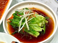 -陈麻婆豆腐(旗舰店)