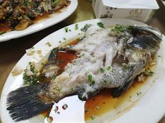 清蒸龙趸鱼-田源农家饭店·窑鸡王·海鲜(东部湾·融创店)