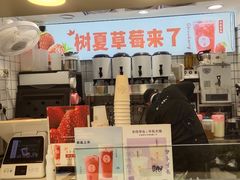 -树夏(建设路店)