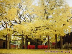 -浮来山风景区