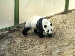 -栾川竹海野生动物园