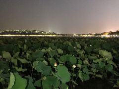-西湖天地