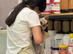 -Pets First伊珊娜洗护·精致美容·家庭式寄养(新会路店)