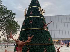 -深圳湾万象城(南山店)