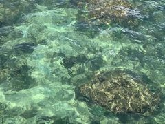 -三亚西岛海洋文化旅游区