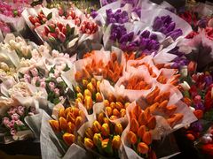 -循礼门鲜花花市(武汉循礼门店)