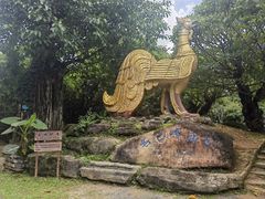 -云南勐巴娜西珍奇园