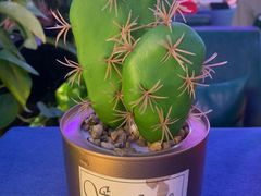 -Famous肥猫墨西哥音乐餐吧(五棵松华熙LIVE店)