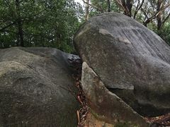 -火炉山森林公园