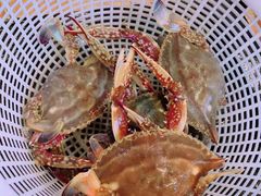 -四海蒸鲜蒸汽海鲜自助(北戴河店)