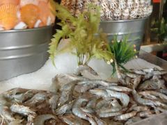 -吉布鲁牛排海鲜自助(温江合生汇店)
