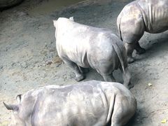 -长鹿旅游休博园