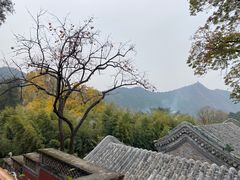 -潭柘寺景区