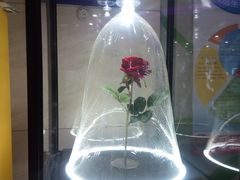 -天幕新彩云国际影城(激光巨幕店)