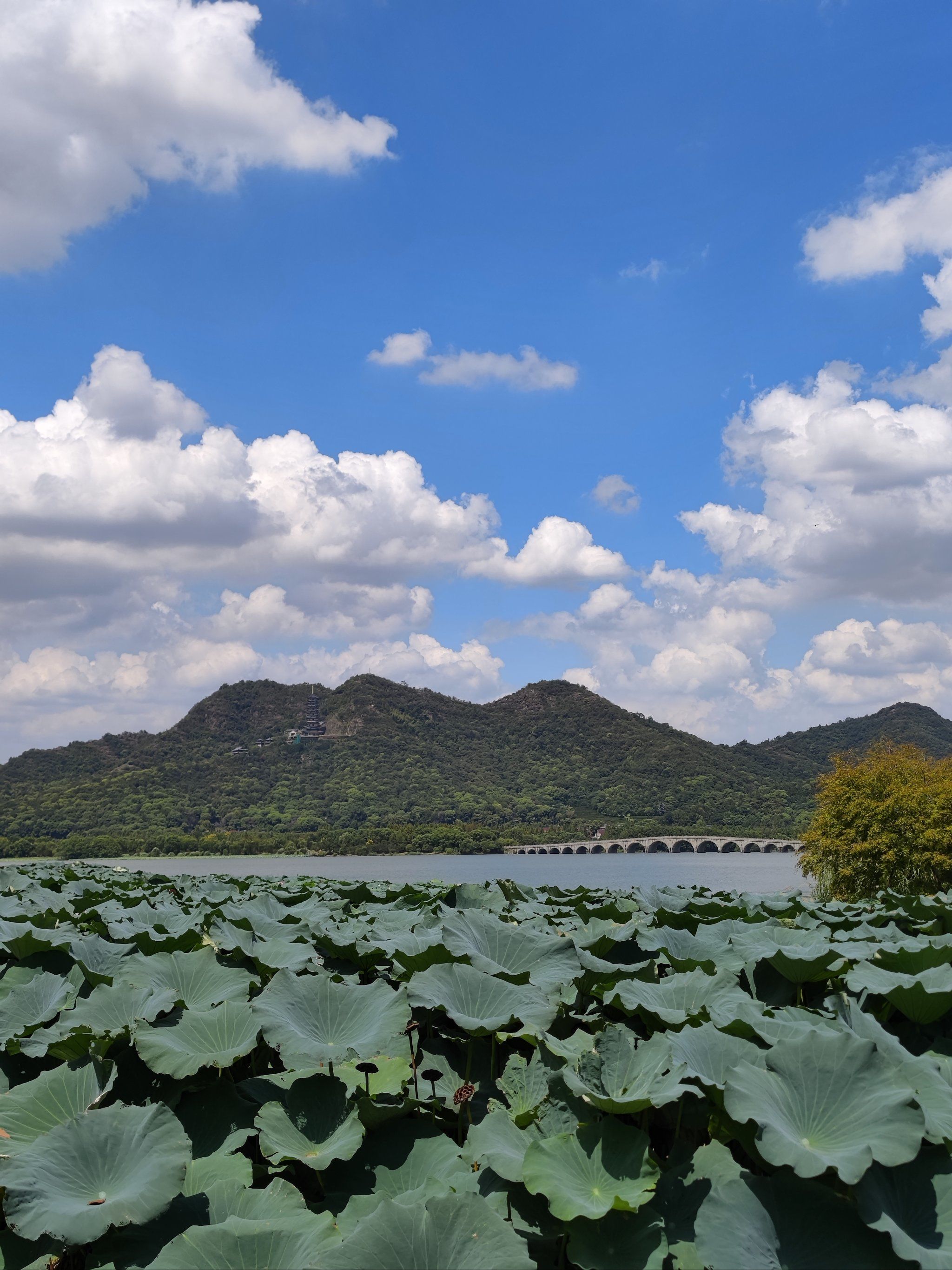晴天的湘湖能美到什么程度?