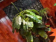 -小时候2013(瀚新店)