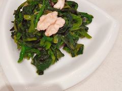 巧拌山野菜-大铁勺新津菜(东丽阳光新业广场店)