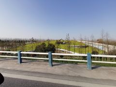 -合肥滨湖国家森林公园