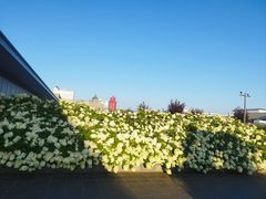 -皇城恒隆广场
