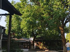 -乌镇东栅景区