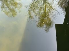 -同里国家湿地公园