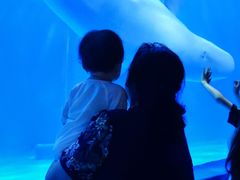 -多彩贵州城极地海洋世界