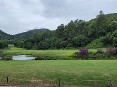 -南沙高尔夫球会