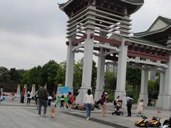 -王借岗森林公园