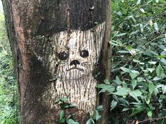 -东天目山风景区