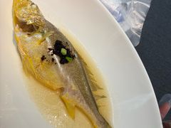 油盐水蒸中黄鱼-广舟(千禧店)