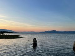 -洱海月湿地公园