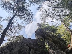 -王顺山国家森林公园