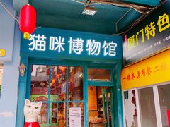-猫咪博物馆(顶澳仔猫街店)