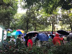 -韶山毛泽东同志故居